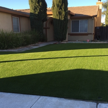 Artificial Grass Lauderdale Lakes, Florida Backyard Playground, Small Front Yard Landscaping