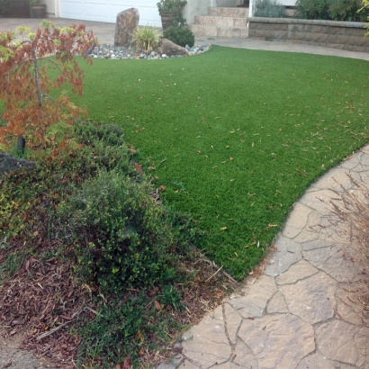 Artificial Grass New Port Richey East, Florida Dog Pound, Backyard Landscape Ideas