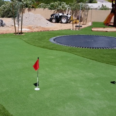 Artificial Grass Olympia Heights, Florida Putting Green, Backyard Makeover