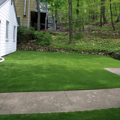 Artificial Grass Wildwood, Florida Backyard Playground, Landscaping Ideas For Front Yard