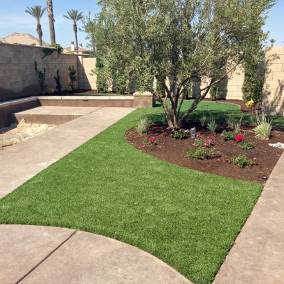 Artificial Lawn Cheval, Florida Landscape Photos, Landscaping Ideas For Front Yard