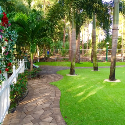 Artificial Lawn Hialeah Gardens, Florida Landscape Design, Backyard Design