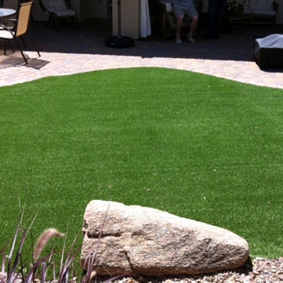 Artificial Lawn North Port, Florida Artificial Grass For Dogs, Backyard Ideas