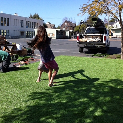 Artificial Turf Cost Tavares, Florida City Landscape, Commercial Landscape