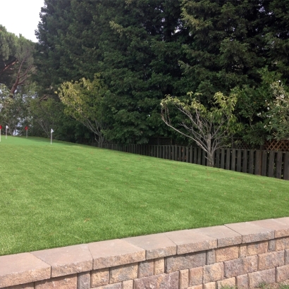 Artificial Turf Gulf Breeze, Florida Landscape Design, Backyard Landscaping Ideas