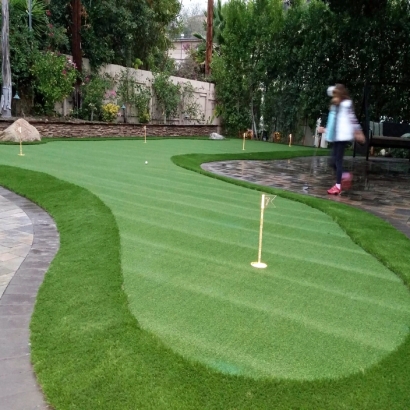 Artificial Turf Installation Cheval, Florida Rooftop, Backyard