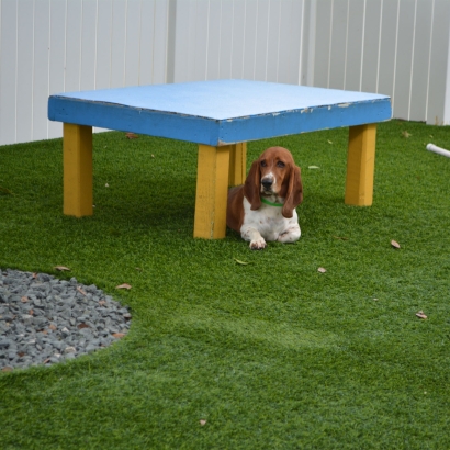 Artificial Turf Installation Miami Springs, Florida Dogs, Dogs Park