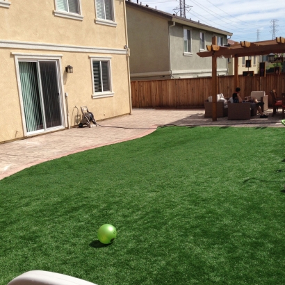 Artificial Turf The Hammocks, Florida Lawn And Garden, Beautiful Backyards