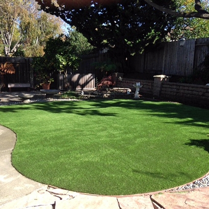 Artificial Turf The Villages, Florida Rooftop, Backyard Landscaping