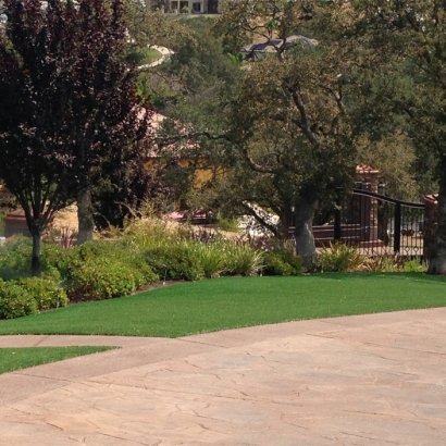 Best Artificial Grass Southwest Ranches, Florida Backyard Playground, Backyard Garden Ideas