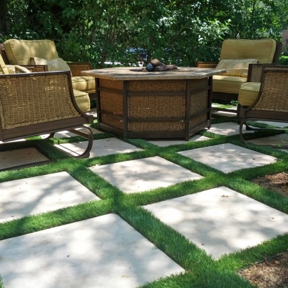 Fake Grass Apopka, Florida Backyard Playground, Backyards