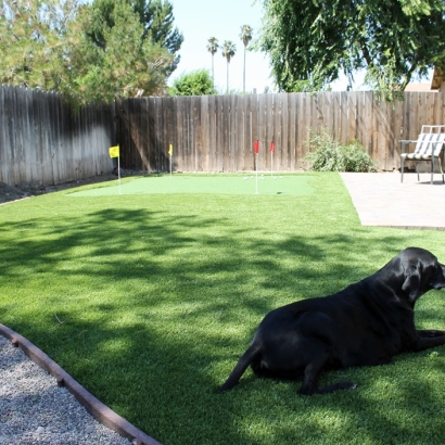 Fake Grass Carpet Lauderhill, Florida How To Build A Putting Green, Dog Kennels