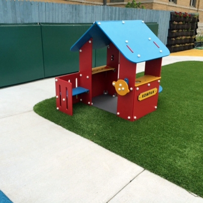 Fake Grass Carpet Safety Harbor, Florida Indoor Playground, Commercial Landscape