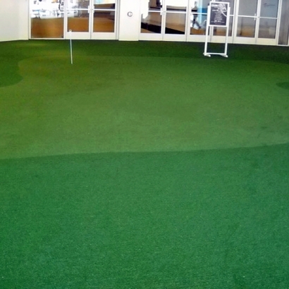 Fake Grass Carpet Wahneta, Florida Putting Green Grass, Commercial Landscape