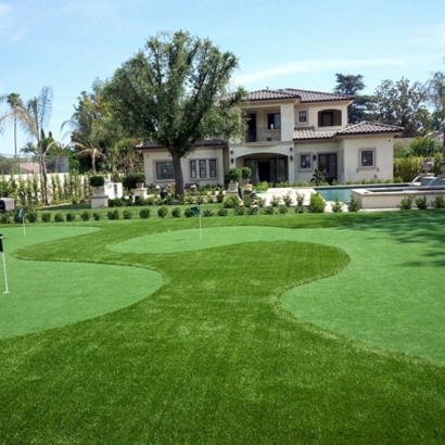 Fake Grass Citrus Ridge, Florida Rooftop, Front Yard Landscaping Ideas