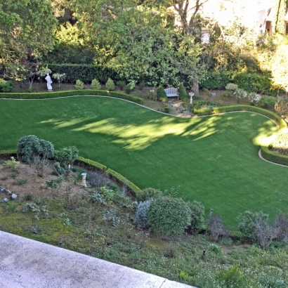 Fake Grass Lauderdale-by-the-Sea, Florida Dogs, Small Backyard Ideas