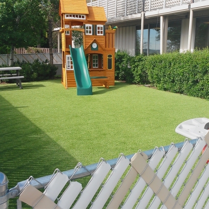 Fake Grass Margate, Florida Landscape Ideas, Backyards