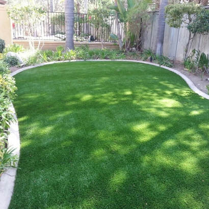 Fake Lawn Doral, Florida Gardeners