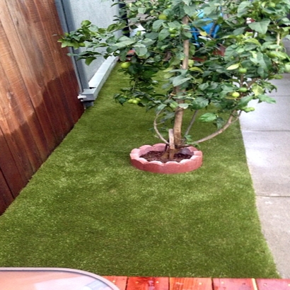 Fake Lawn Merritt Island, Florida Hotel For Dogs, Small Backyard Ideas