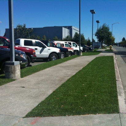 Fake Lawn Sanibel, Florida Landscaping, Commercial Landscape