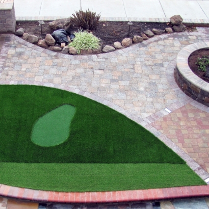 Fake Lawn Seffner, Florida Golf Green, Front Yard Ideas