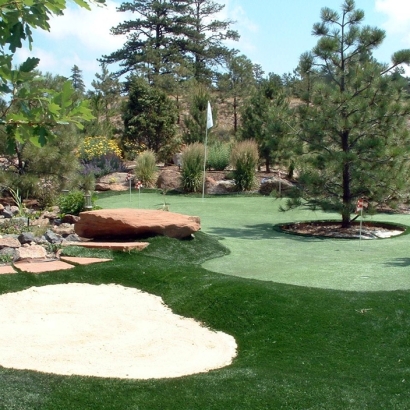 Fake Turf Altamonte Springs, Florida Backyard Playground, Backyard Makeover