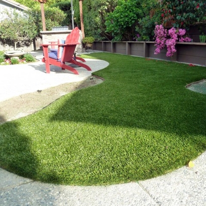 Fake Turf Citrus Springs, Florida Hotel For Dogs, Backyard Garden Ideas