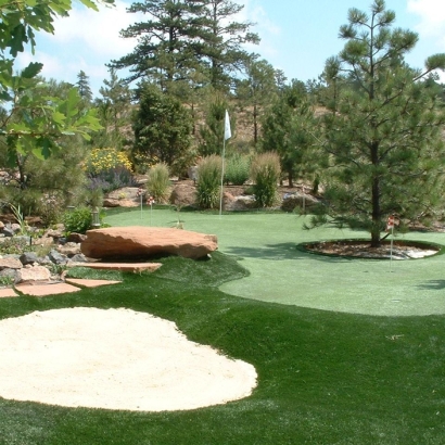 Fake Turf DeLand, Florida Lawns, Beautiful Backyards