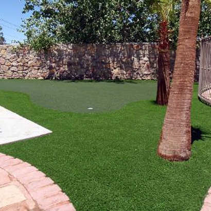 Fake Turf Kendall, Florida Putting Green, Backyard Garden Ideas