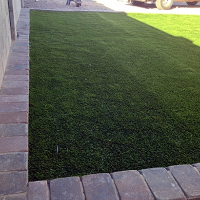 Fake Turf Royal Palm Beach, Florida Backyard Playground, Front Yard Landscaping Ideas