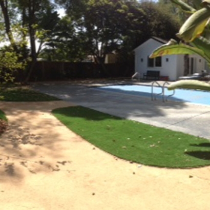 Faux Grass Miami Shores, Florida Landscape Design, Backyard Landscaping
