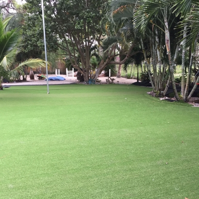 Grass Carpet Fountainebleau, Florida Backyard Playground, Commercial Landscape