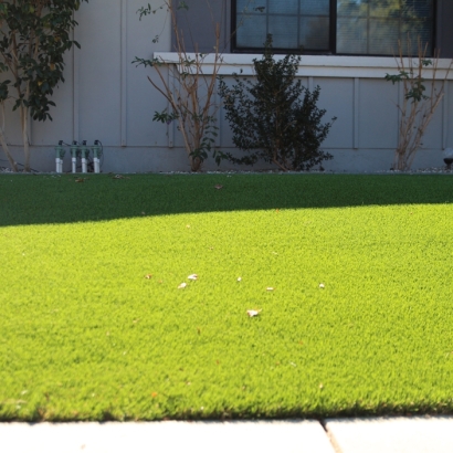 Grass Carpet Miami Lakes, Florida Landscaping, Front Yard Ideas