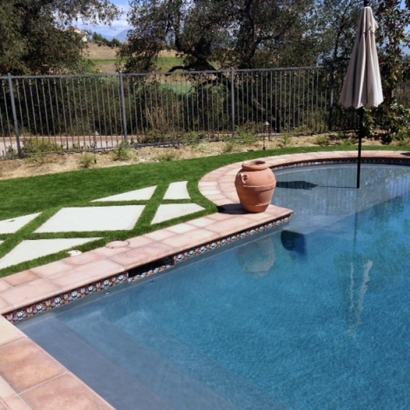 Grass Carpet Wedgefield, Florida Landscape Photos, Backyard Landscape Ideas