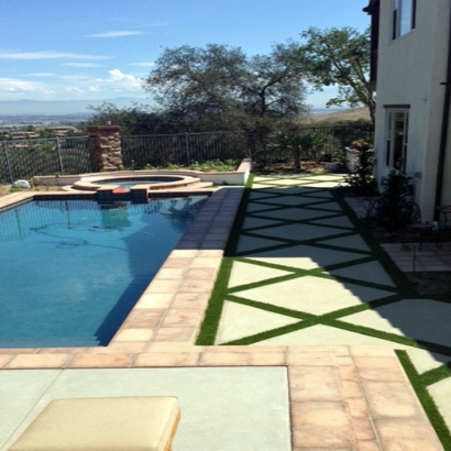 Grass Carpet Wedgefield, Florida Landscape Photos, Backyard Landscape Ideas