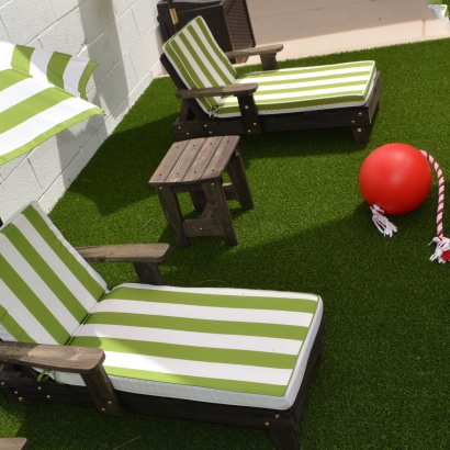Grass Carpet Westchester, Florida Home And Garden, Backyard Garden Ideas
