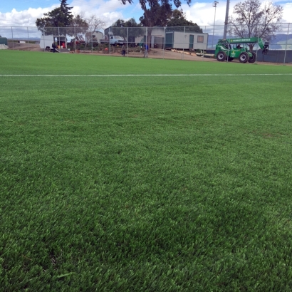 Grass Installation Coral Springs, Florida Softball