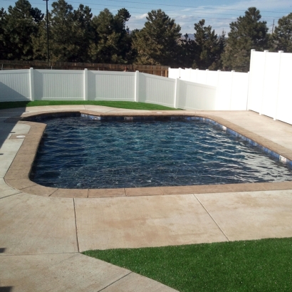 Grass Installation Mims, Florida City Landscape, Backyard Landscape Ideas