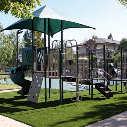 Grass Installation Palm Harbor, Florida Indoor Playground, Recreational Areas