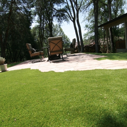 Grass Installation Timber Pines, Florida Landscape Ideas, Backyards
