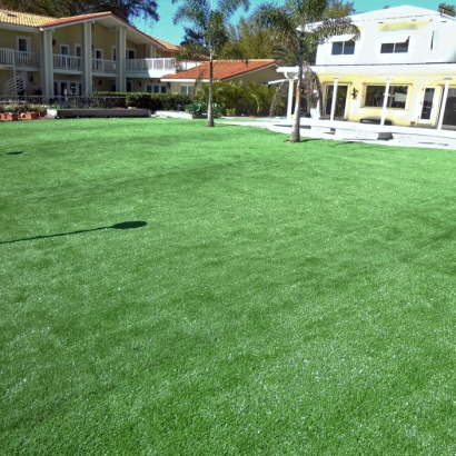 Grass Turf Century Village, Florida Garden Ideas, Pool Designs