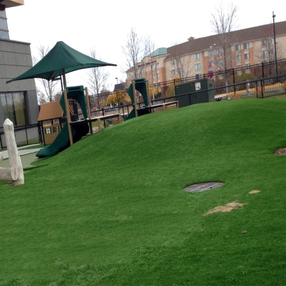 Grass Turf Estero, Florida Roof Top, Commercial Landscape