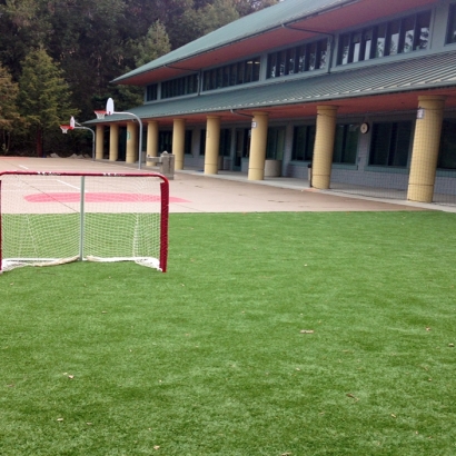 Grass Turf Hialeah, Florida Bocce Ball Court, Commercial Landscape