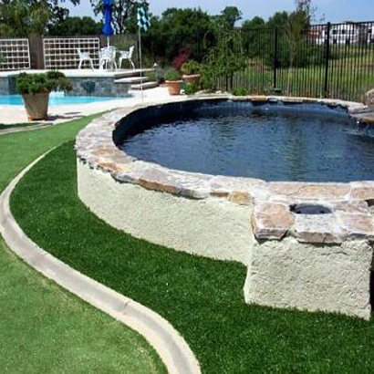 Grass Turf North Miami Beach, Florida Home And Garden, Backyard Design