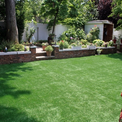 Grass Turf Riviera Beach, Florida Backyard Deck Ideas, Backyard Landscape Ideas