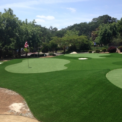 Grass Turf Winter Garden, Florida Artificial Putting Greens, Landscaping Ideas For Front Yard