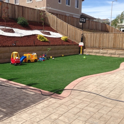 Green Lawn Edgewater, Florida Playground Turf, Backyard Garden Ideas