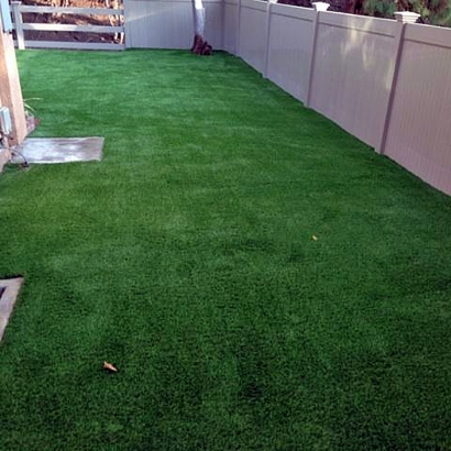 Green Lawn Lakewood Park, Florida Pet Turf, Backyard Landscaping Ideas