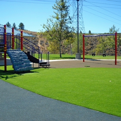 Green Lawn Safety Harbor, Florida Playground Safety, Recreational Areas