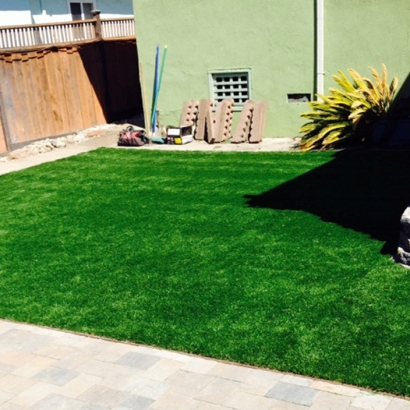 Green Lawn Sweetwater, Florida Lawn And Landscape, Backyard Ideas